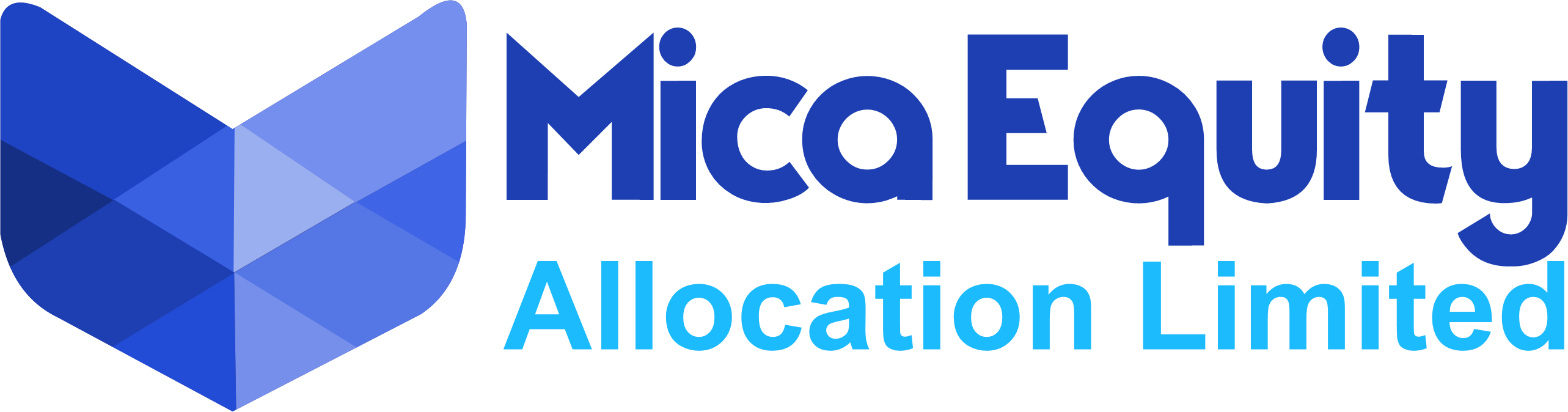 micaequityallocation